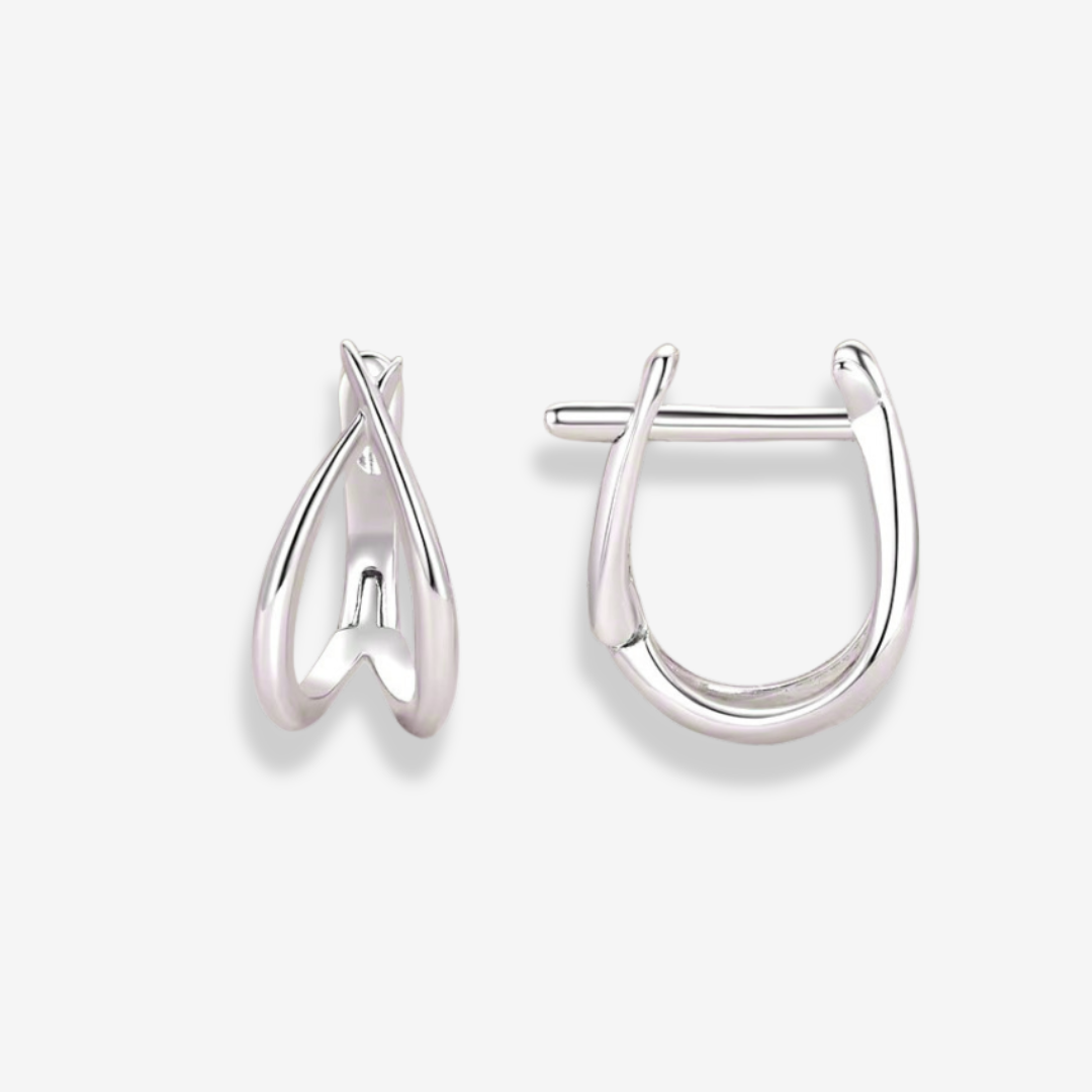 Double Hoop Huggie Earrings